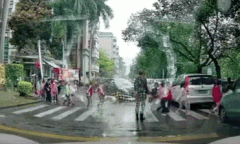 一群小学生正在过马路,司机强行穿过斑马线!