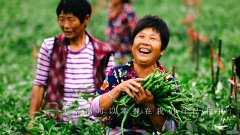 新华全媒+丨这首散文诗,倒着读竟藏着……~