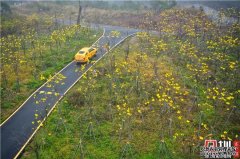 IN视频•瞰盐田⑲|“雾里看花”醉春光 盐田这片