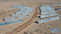 甘肃民勤:“沙乡”兴起现代农业