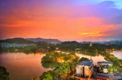 【一流湾区】提高站位找准定位 积极融入“双区