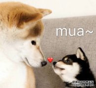 妇女节祝福语简短语录 2021年三八妇女节快乐祝福